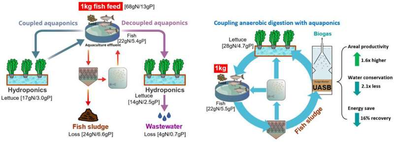 unique aquaponics system